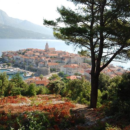 Villa Nova Vela Luka Luaran gambar